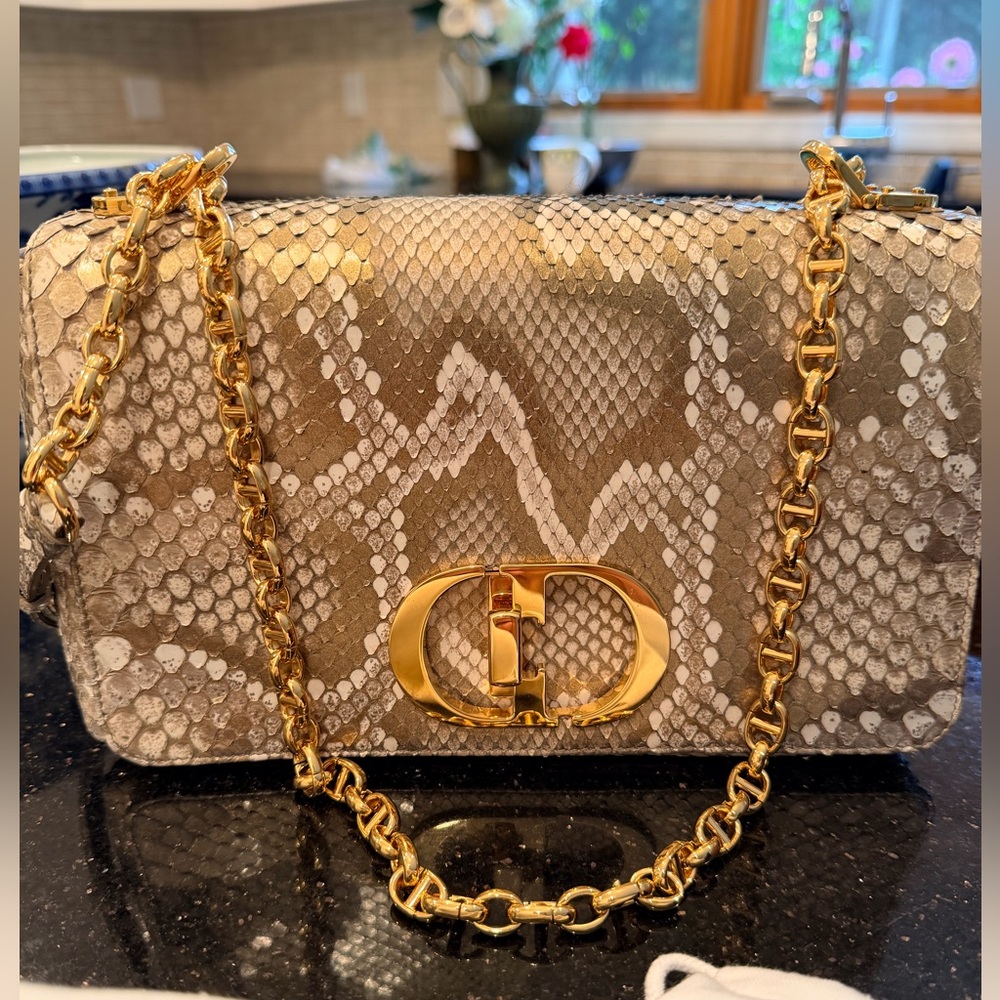 Dior Beige And Gold Python Pattern Bag - image 2